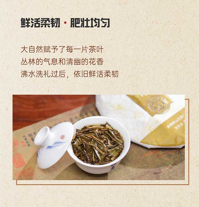 润元昌布朗好韵普洱茶品质特点