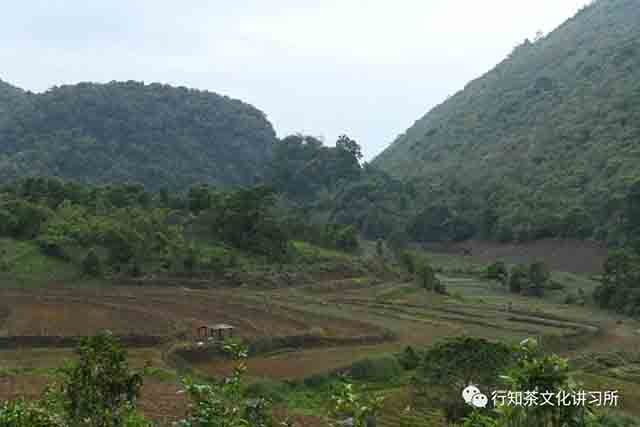 革登茶山石良子行纪