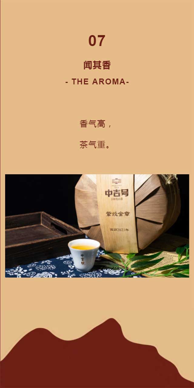 中吉号紫绶金章普洱茶品质特点