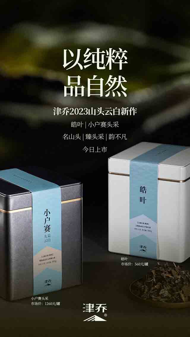 津乔普洱晧叶小户赛头采云白