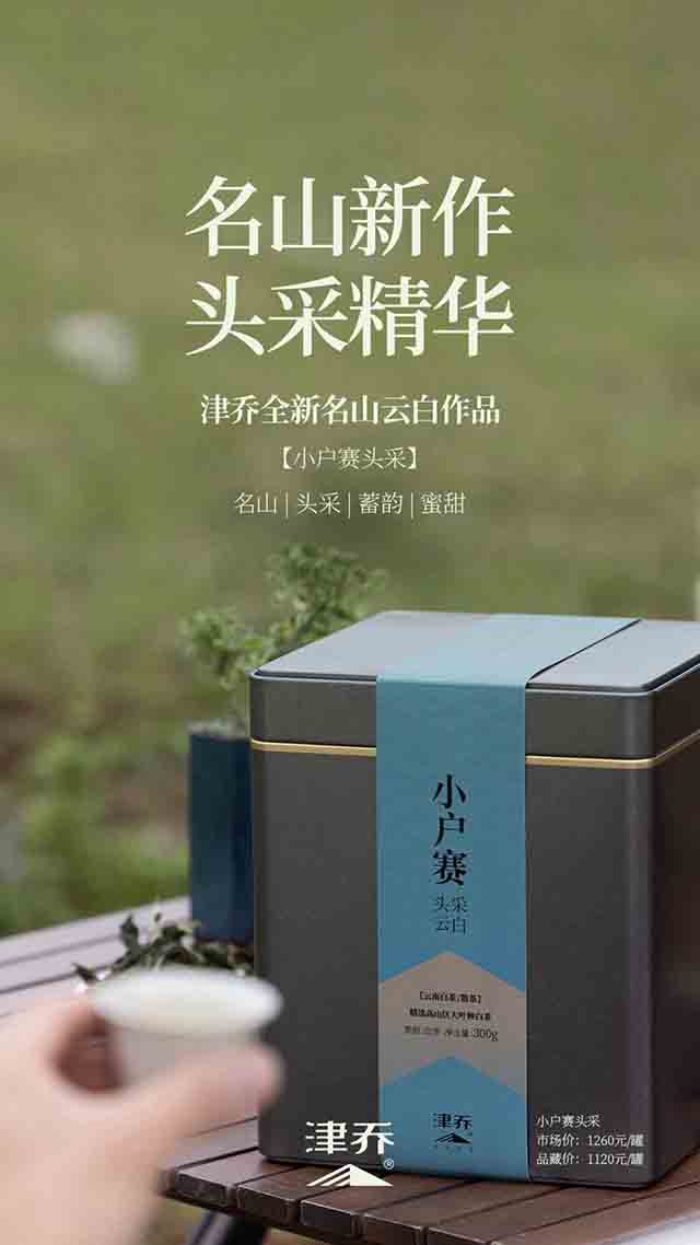 津乔普洱晧叶小户赛头采云白