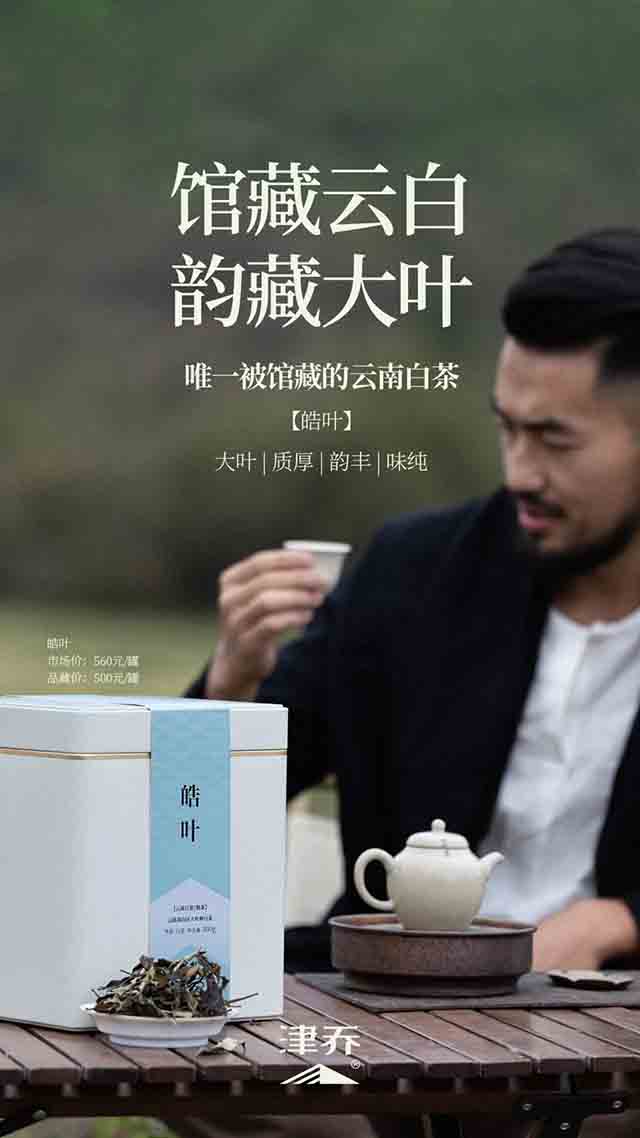 津乔普洱晧叶小户赛头采云白