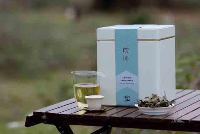 津乔普洱晧叶小户赛头采云白