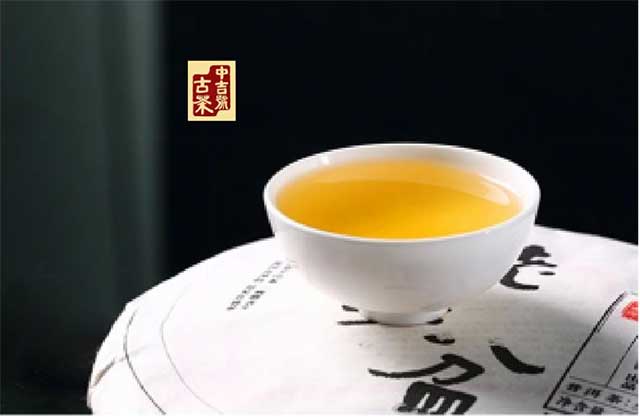 中吉号北京茶博会