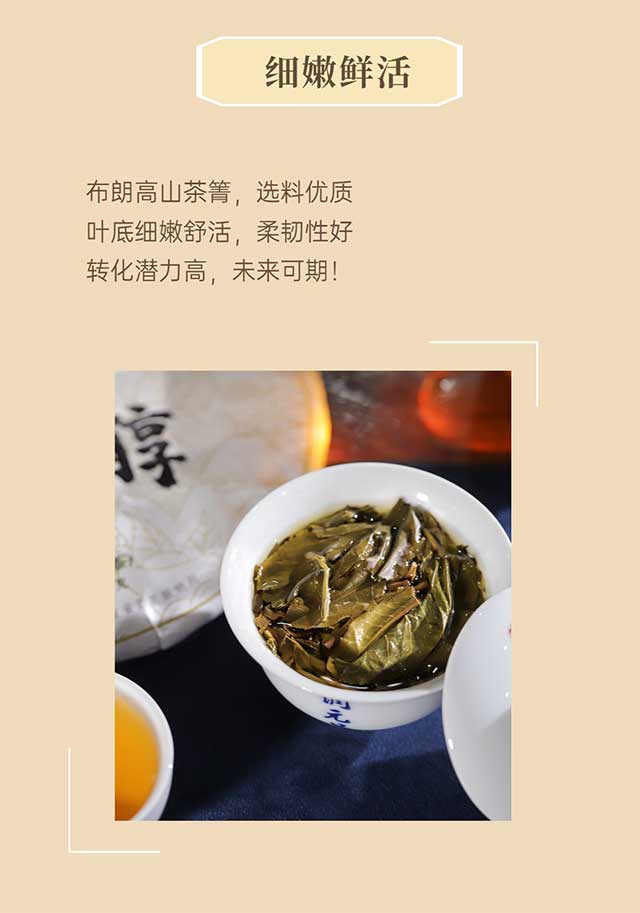 润元昌布朗醇普洱茶品质特点