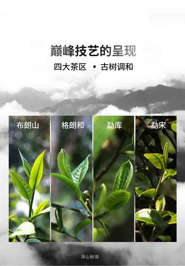 老同志良品良工良园普洱茶品质特点