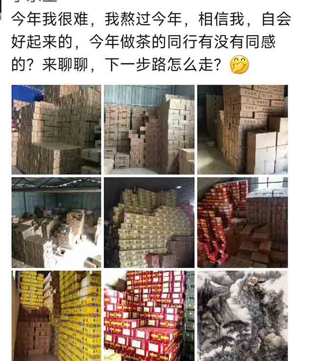 云茶观察