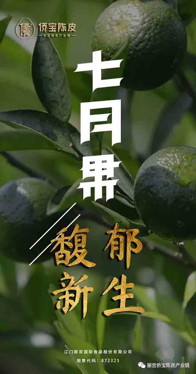 侨宝陈皮传承雅宴端午品鉴会