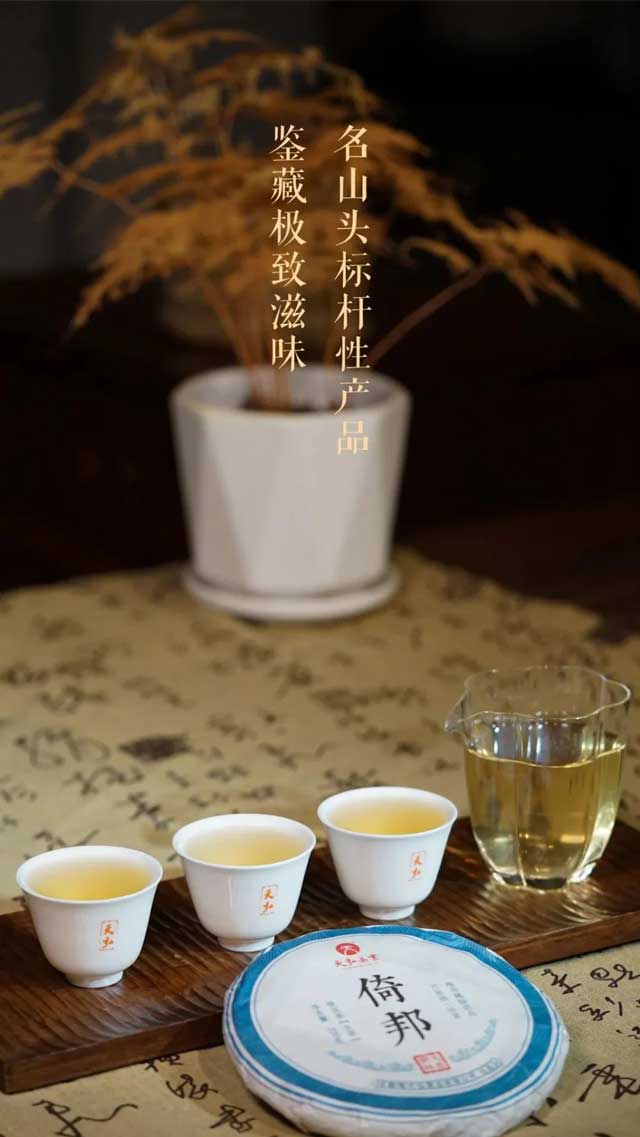 天弘倚邦大黑树林普洱茶