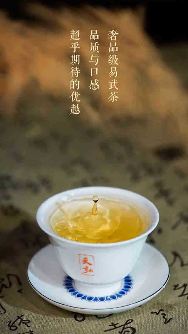 天弘倚邦大黑树林普洱茶