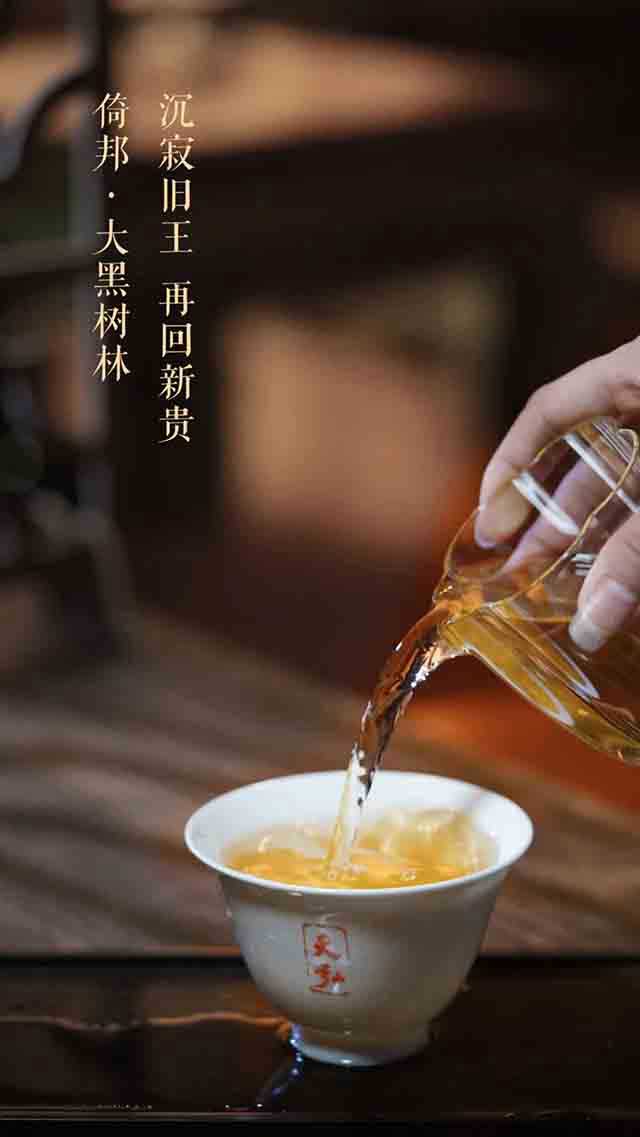 天弘倚邦大黑树林普洱茶