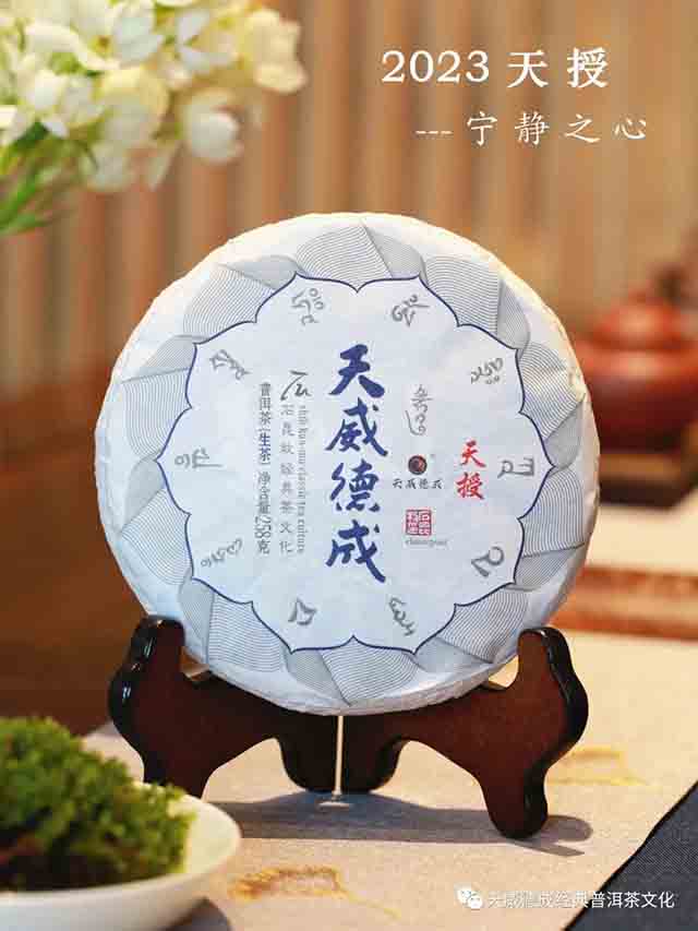 石昆牧老师点评2023年经典茶品