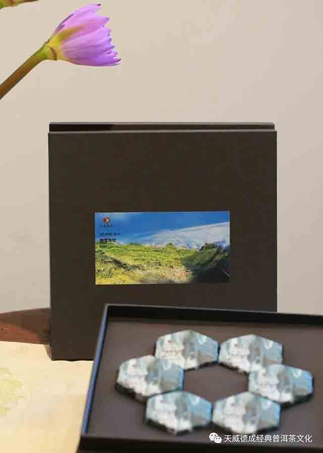 天威德成2023年傲雪玲珑古树白茶