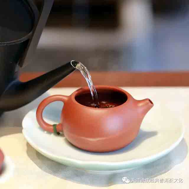 天威德成2023年傲雪玲珑古树白茶