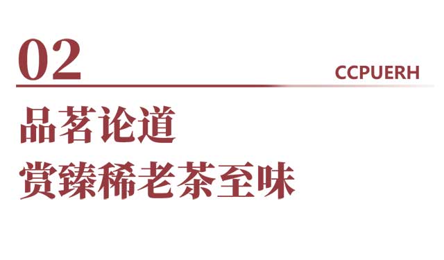 双陈普洱悦普会极品老茶私享会东莞站