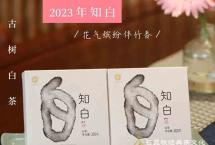 【品茶分享】花气缤纷伴竹香——2023年知白古树白茶