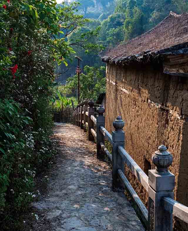 龙润茶易武茶