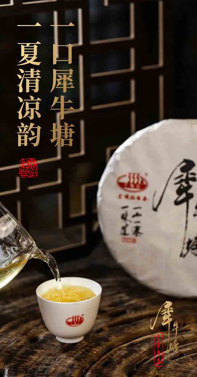 芒嘎拉2023犀牛塘普洱茶品质特点