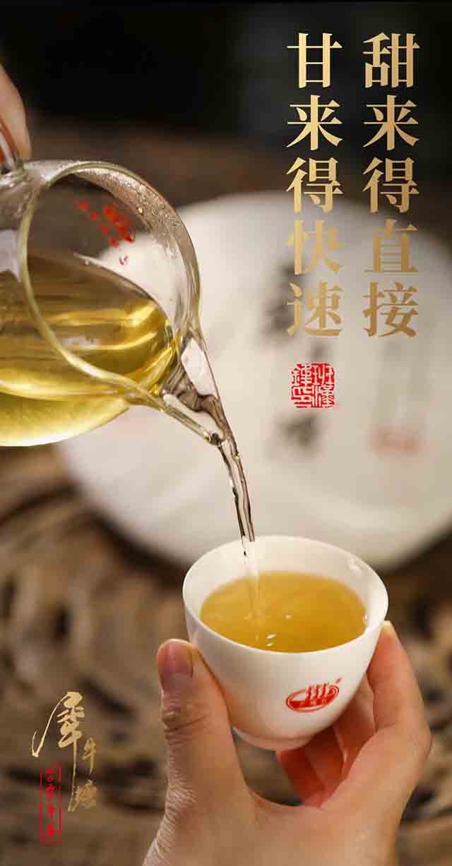 芒嘎拉2023犀牛塘普洱茶品质特点