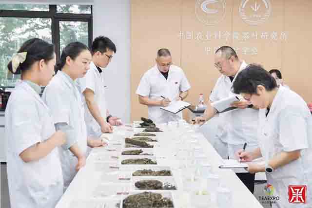 中茶杯国际鼎承茶王赛揭晓龙园号斩获3大金奖