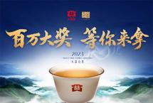 大益论茶秘笈第二波|记牢10款熟茶特点，备赛更进一步！