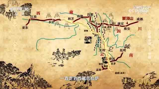 中茶普洱茶
