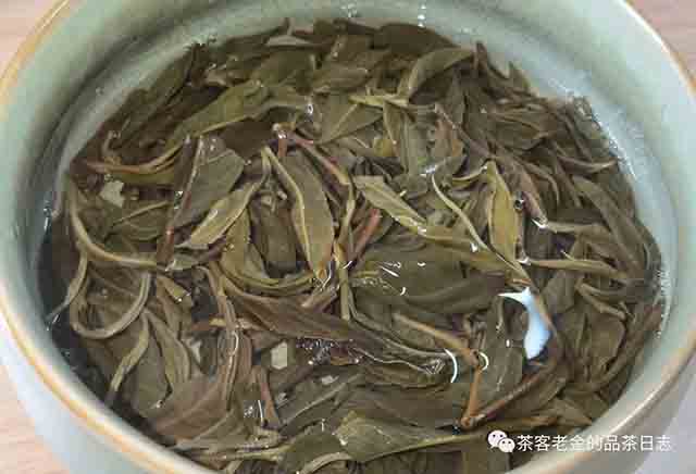 庄主号白蛇山普洱茶