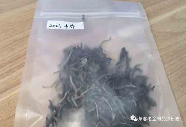 茶者无喧2023年中乔普洱茶