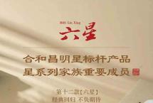 合和昌：“星”有所属，载誉归来