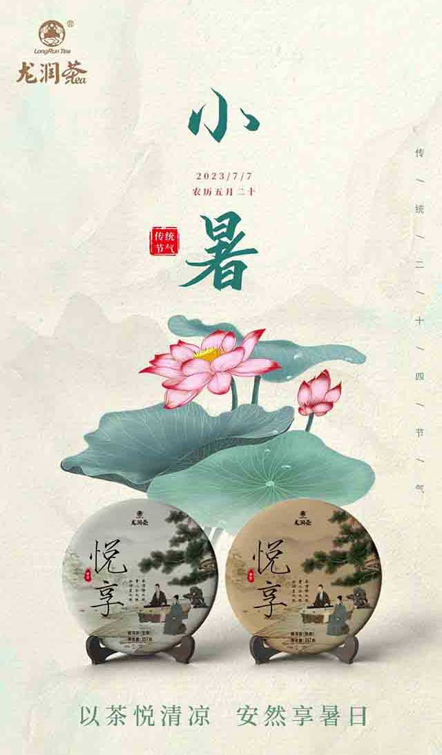 云南龙润茶业