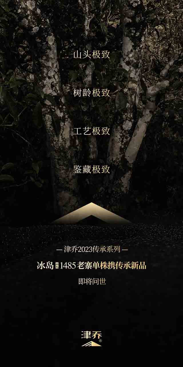 津乔普洱