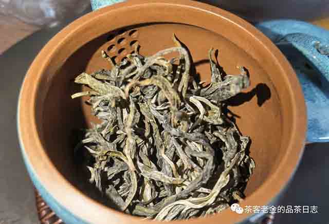 公主茶铺2023年落水洞古树茶普洱茶