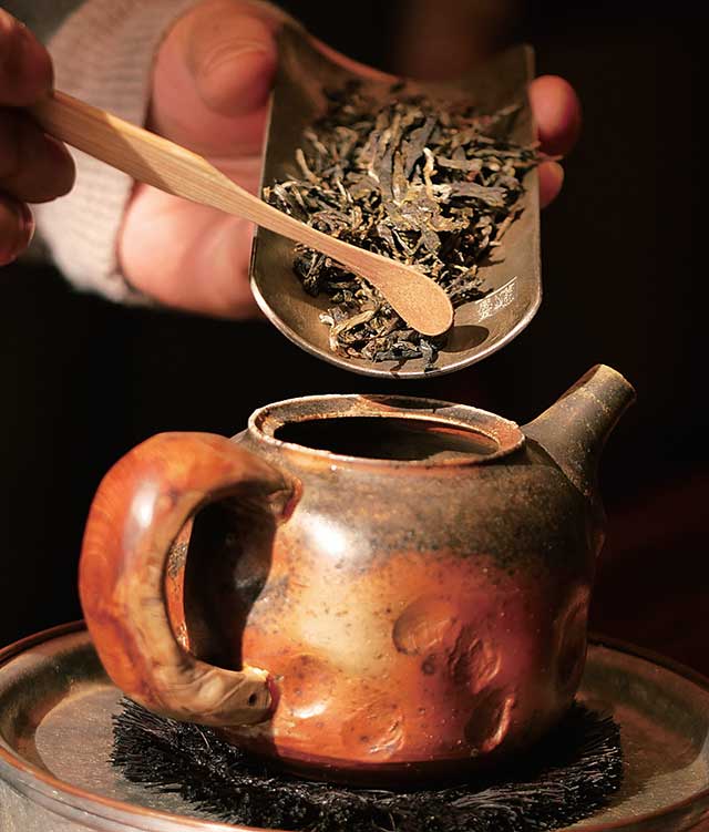 普洱杂志