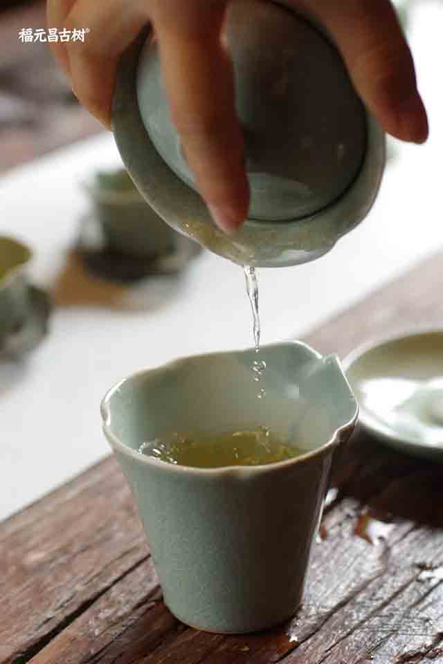 福元昌古树曼松黄金叶普洱茶品质特点