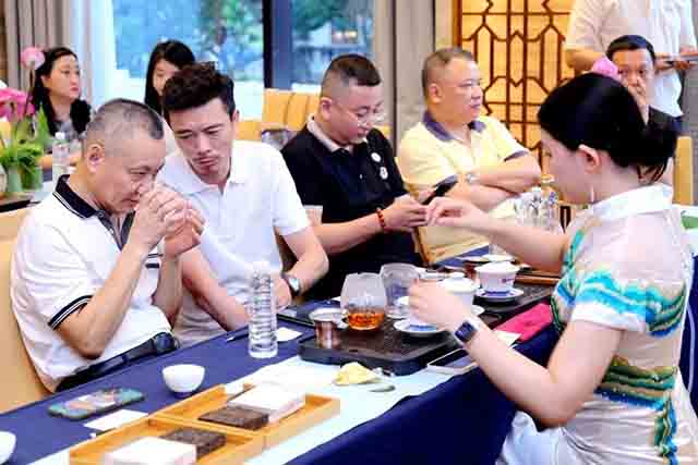 中茶普洱茶精品品鉴会