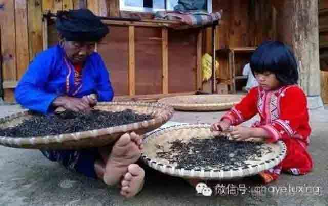 世界文化遗产景迈山