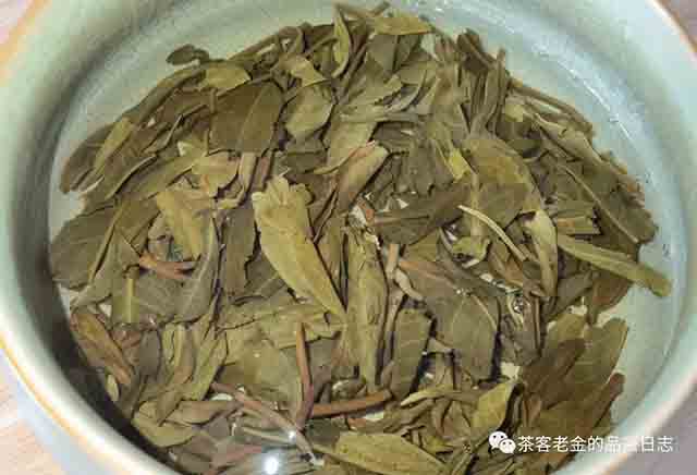 彤掌柜2023年虫吃茶普洱茶