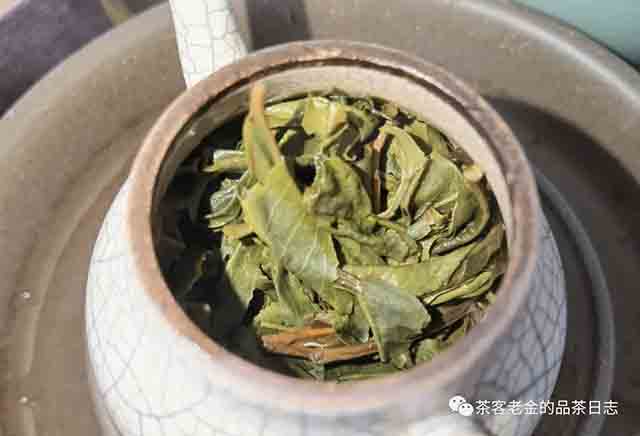 彤掌柜2023年虫吃茶普洱茶