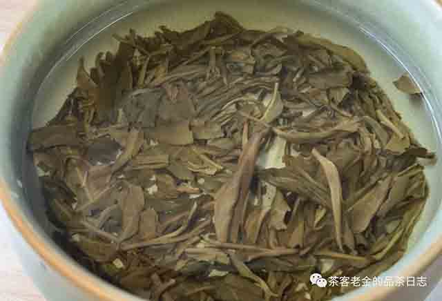 老爷说不将就2020年鬼茶普洱茶