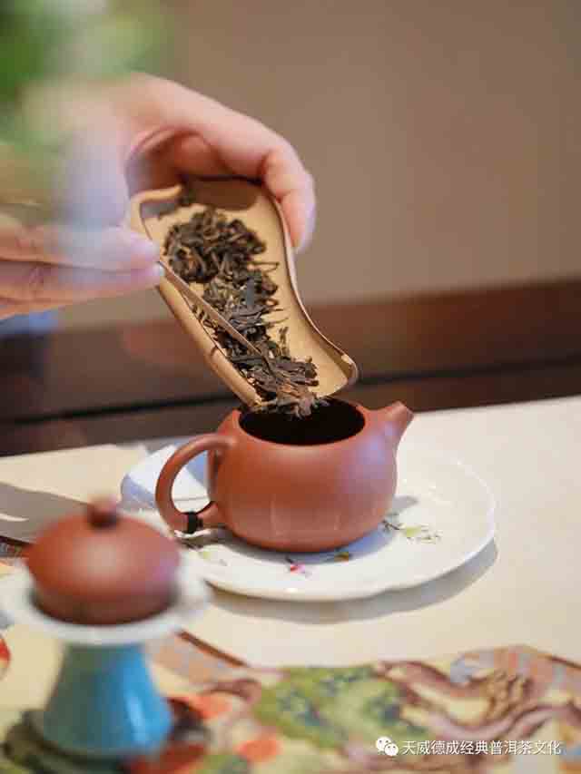 天威德成2008年雅月普洱茶品质特点