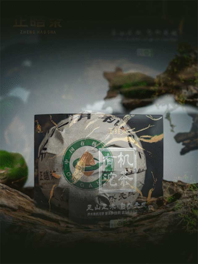 正皓茶2023乔木有机沱茶品质特点