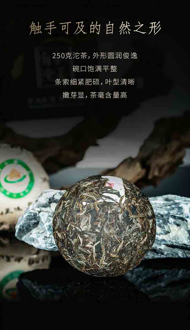 正皓茶2023乔木有机沱茶品质特点