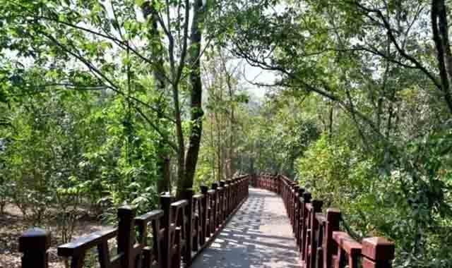 茶书困鹿山
