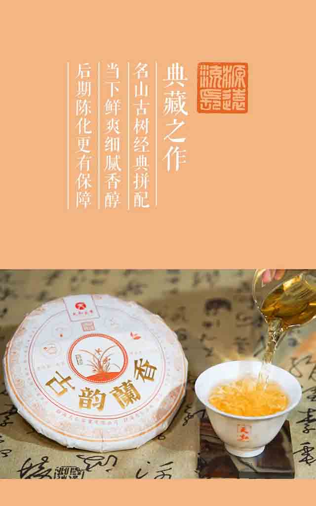 天弘茶业古韵兰香冰岛易武普洱茶