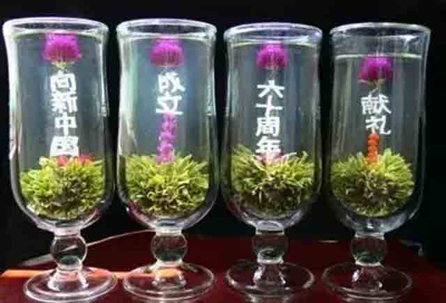汪芳生创制的工艺造型茶