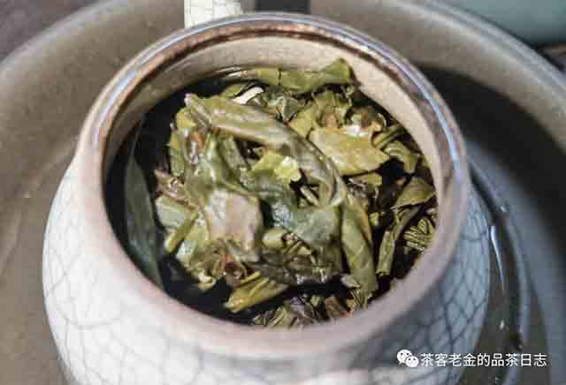 吾茶共饮芊玑普洱茶