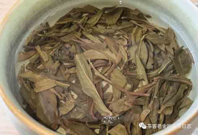 吾茶共饮芊玑普洱茶