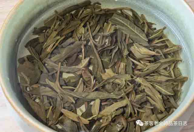 吾茶共饮芊玑普洱茶