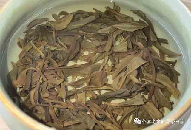 吾茶共饮芊玑普洱茶