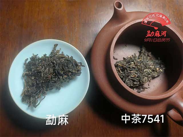 花姐家彤掌柜勐麻和中茶7541对比品鉴